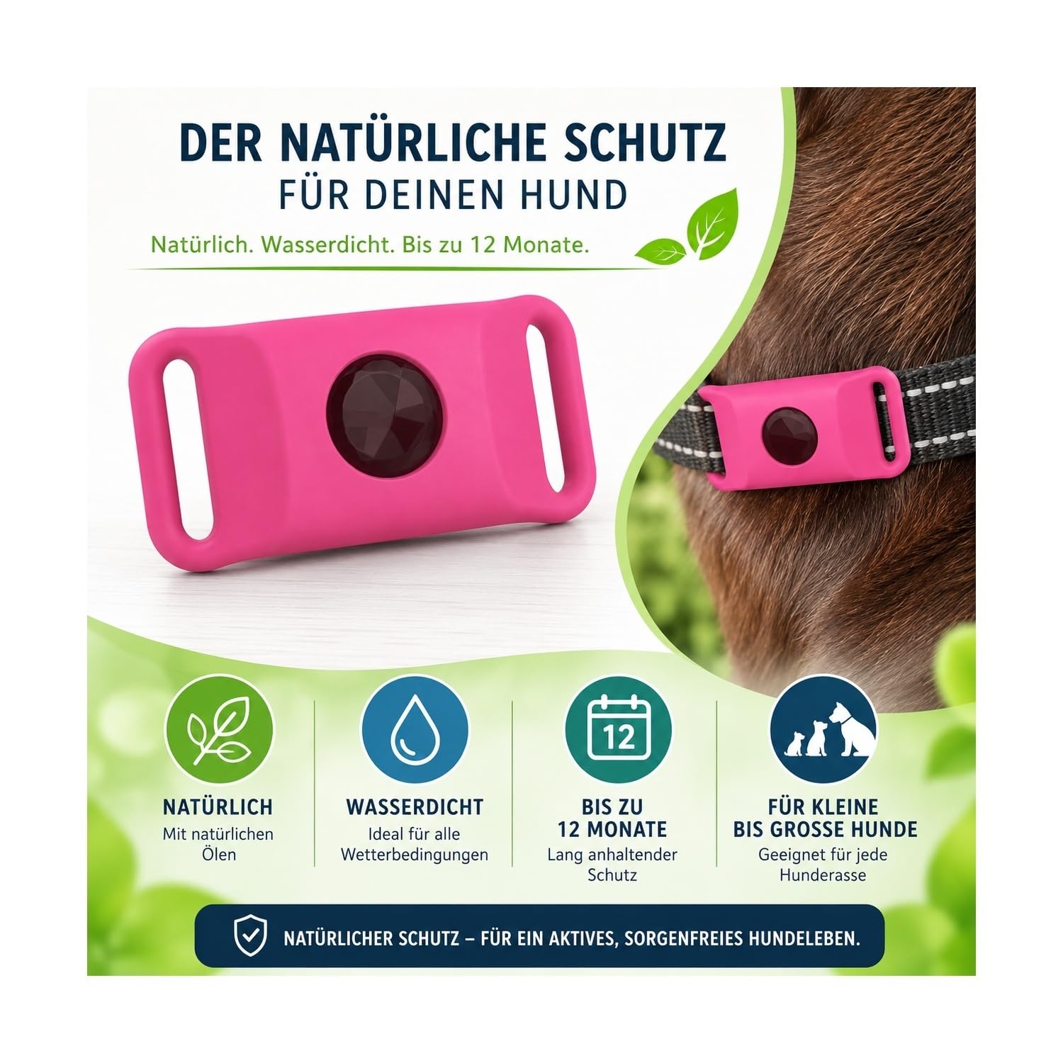Zeckenschutz Hund natürlich ohne Chemie, 12 Monate Floh- und Zeckenanhänger, wasserdichter Halsbandanhänger mit ätherischen Ölen für kleine bis große Hunde