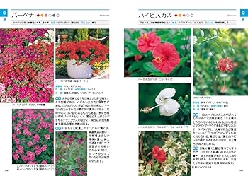 日本の花本 楽天市場】ちいさな日本刺繍 花と植物 | 図書 本 書籍 浅賀 菜緒