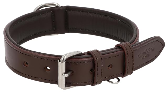 Gusti Collar de Perro Cuero - Jacky Collar de Cuero Perro Mascota Cuatro Patas Talla L Marrón Oscuro Cuero
