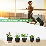 Set de planteur d'eau autonome, 5Pack Petits pots de plantes en plastique avec trous de drainage et soucoupes, Modern 7+6.5+6+5.5+5 INCH Set de pots de fleurs pour plantes d'extérieur intérieur - noir