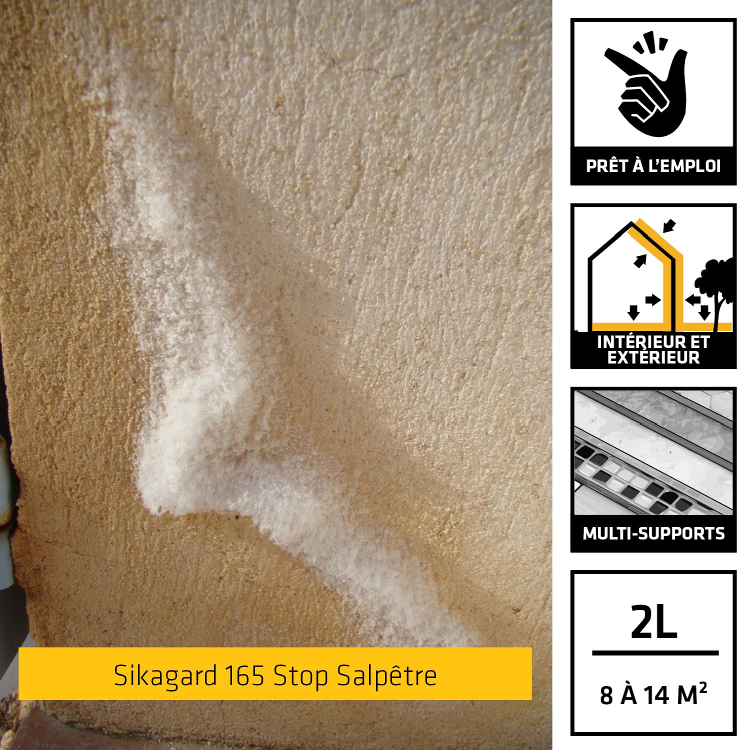 SIKA - Résine pour traitement intérieur des murs humides - Anti-moisissure - Anti-humidité -2L + Traitement bactéricide contre le salpêtre - Intérieur et extérieur - Prêt à l'emploi - 2L pour 8 à 14m²