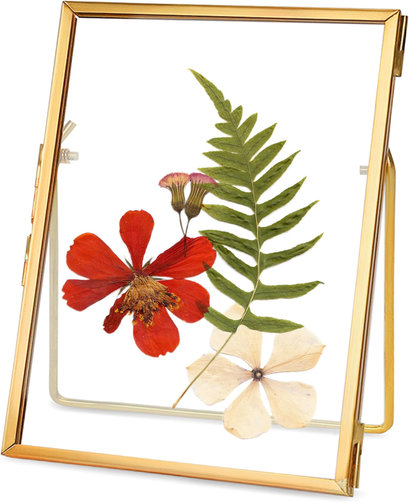 REDHUGO Glass Pressed Flower Frame Handmade, Floating Picture Frames for Pressed Flowers, Tabletop Artwork Photo Frames, Brass Desk Picture Frame for Home Office Plant Specimen