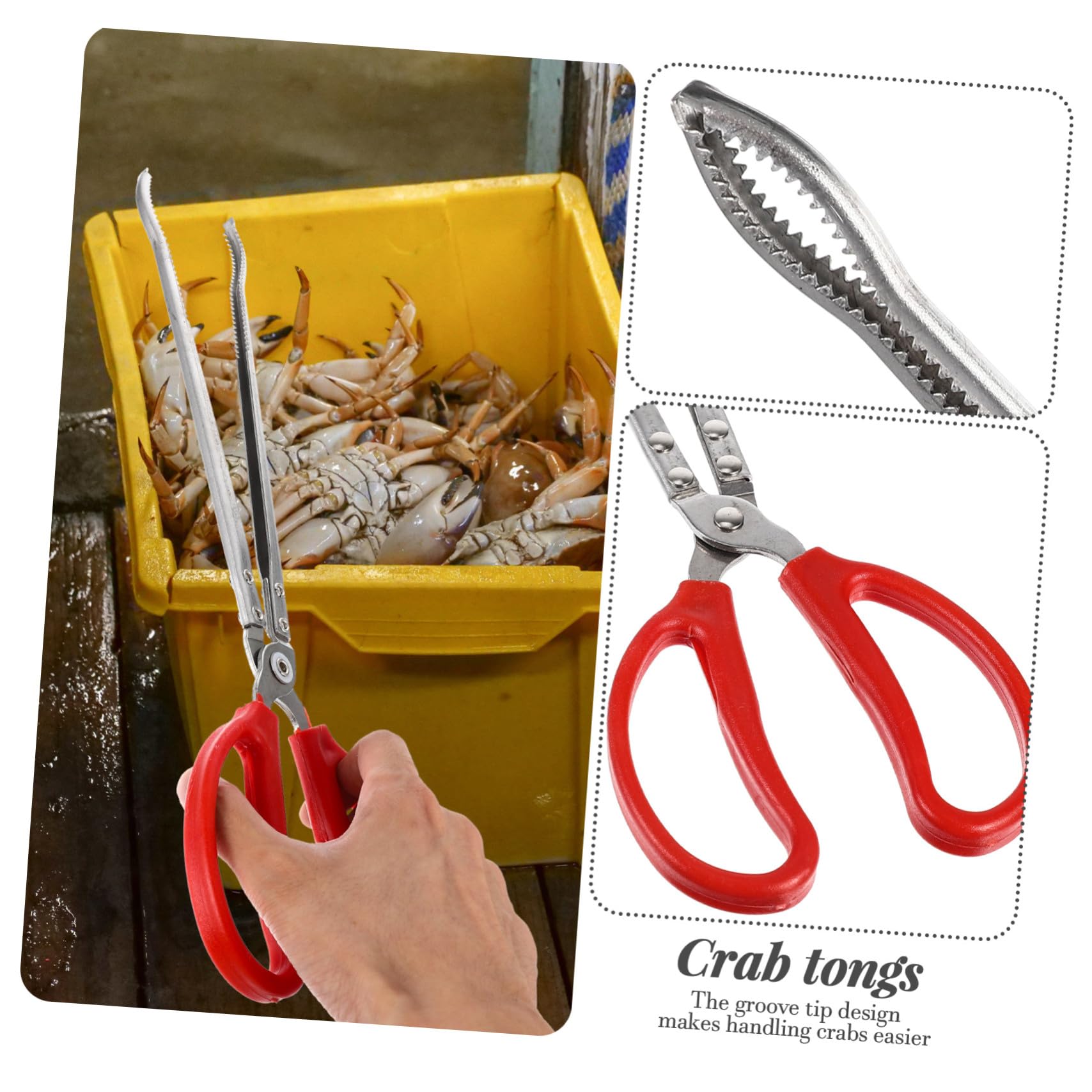 Pince à Crabes Portable en Acier Inoxydable, Légère et Antidérapante