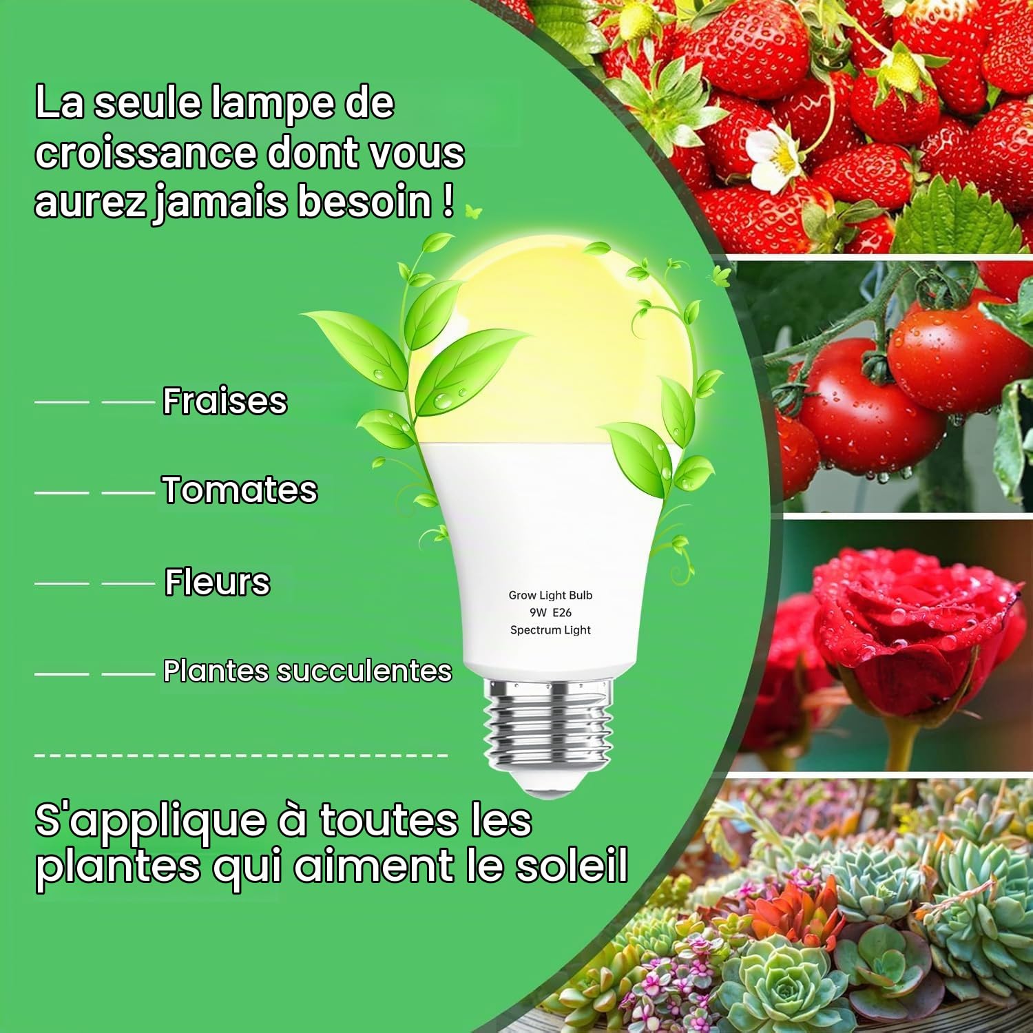 3 Pack A19 Full Spectrum LED Grow Light Bulb Indoor Grow Light, E26 110V 9W Grow Bulb Replace up to 100W, Plant Light Bulb for Indoor Plants, Flowers, Greenhouse, Indore Garden, Hydroponic