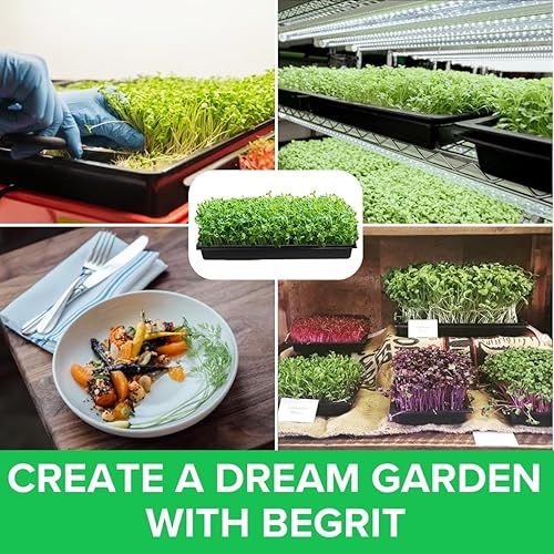 Miniatura 5 de BeGrit Microgreen Seed Starter - Bandejas de cultivo de semillas poco profundas, planos de germinación no estándar, bandeja 1015 sin agujeros,