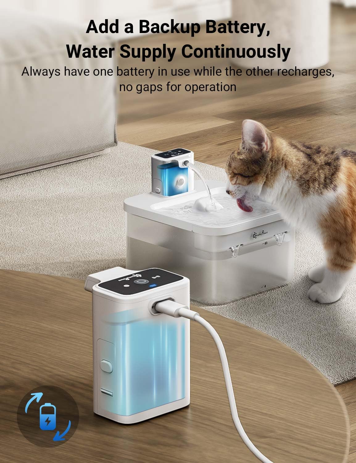 DownyPaws Replacement Battery Compartment B for Cat Water Fountain DPWFP6