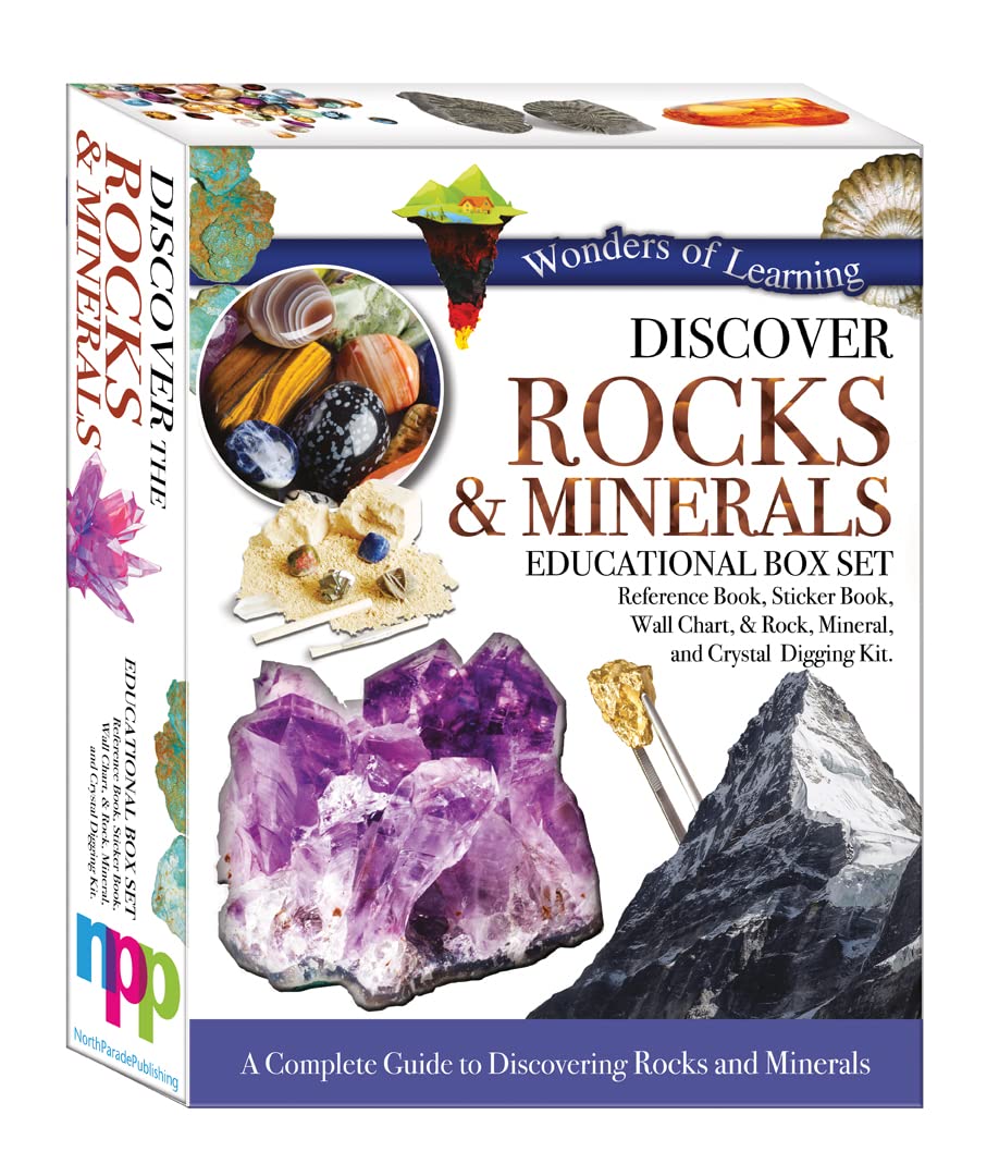 Amazon.com: Wonders of Learning WOLNBS20 6
