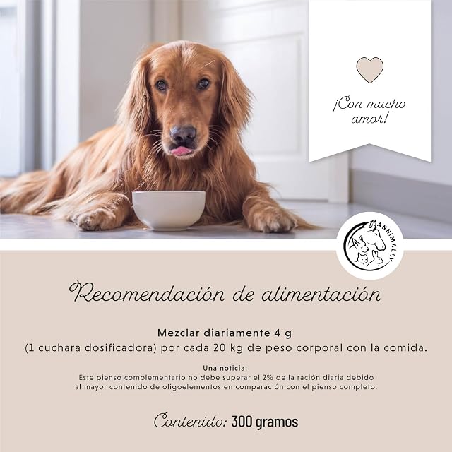Foto 6 de 8 de Annimally Polvo para Articulaciones para Perros 300 g con MSM, Mejillón Verde y Colágeno