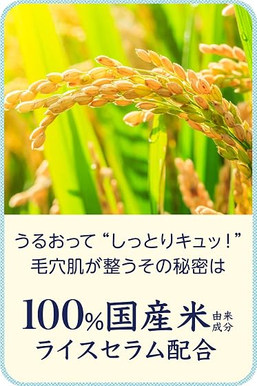 石澤研究所 お米のマスクの商品画像