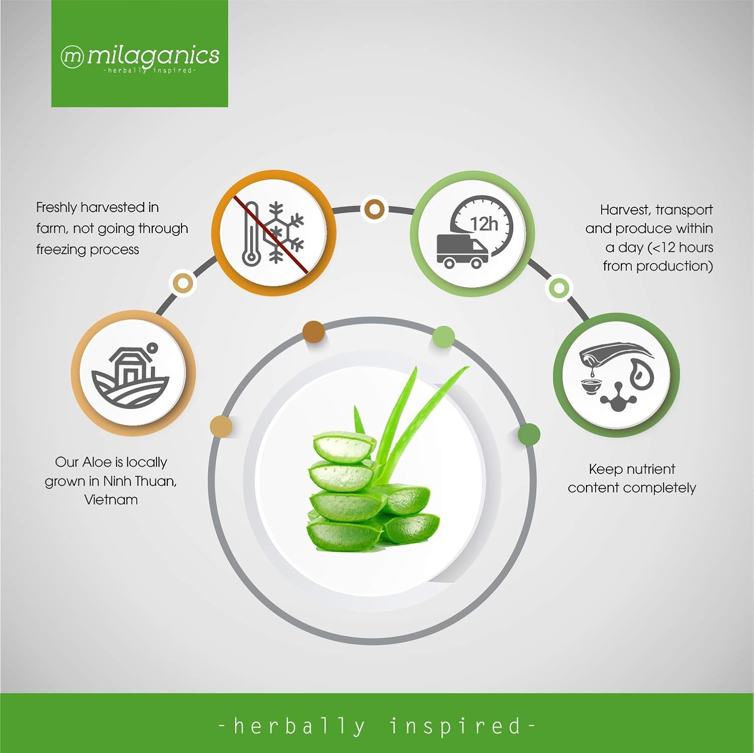 ORGANIC ALOE VERA GEL SUNBURN RELIEF AND VITAMIN E with NATURAL INGREDIENTS, HERBAL ESSENCES, ANTI-AGING, PROVIDE MOISTURE NON-STICKY FEELING, PREVENT DRY, FLAKY SKIN, MOISTURIZING GEL FACE 300ml : Beauty & Personal Care