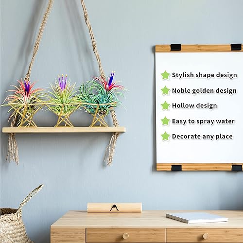 Miniatura 3 de Funrous 12 soportes para plantas de aire geométricas doradas para plantas de aire, decoración geométrica de metal, decoración geométrica clásica,