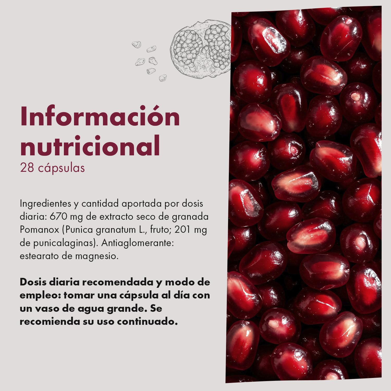 Granatum Plus - Punicalagina Plus - Complemento Alimenticio - Extraído de Granadas - Suplemento Antioxidante - Digestión y Metabolismo - Cuidado de Piel - Producido en España (3 Cajas de 28 cápsulas)