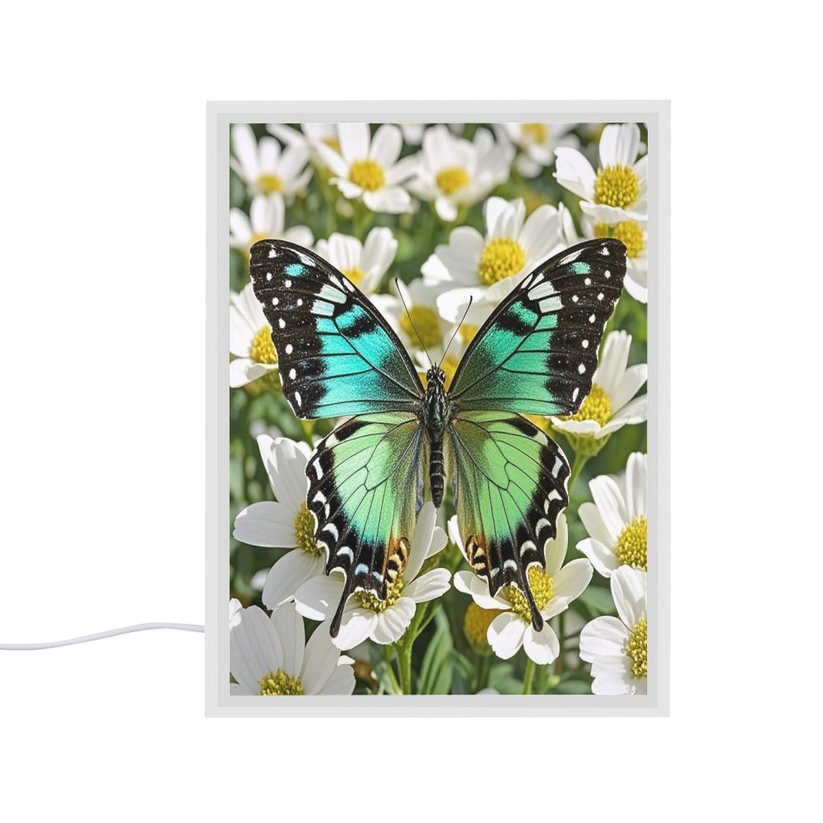 Espejo de tocador FekiLoot musical con luces LED, el regalo ideal decorativo de mariposa