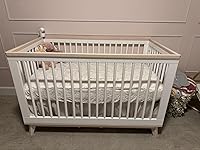 Review Image by James James