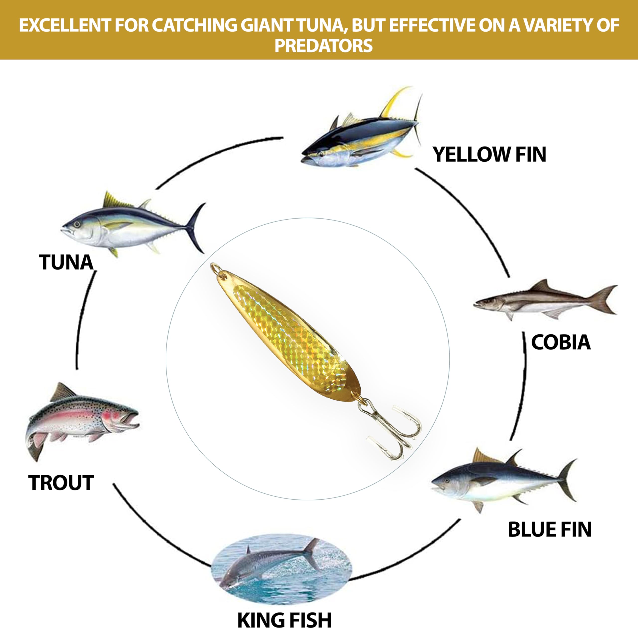 Señuelos de pesca con cuchara de cocodrilo, 56.7 g, 6 unidades, color dorado | Pesca de agua salada y agua dulce, acabado cromado con anzuelos agudos Mustad, ideal para trucha, lubina, fletán