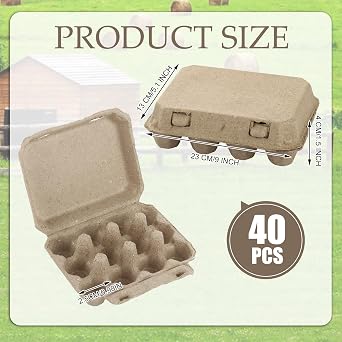40 Pcs Quail Eggs Boxes 23 x 13 x 4 cm