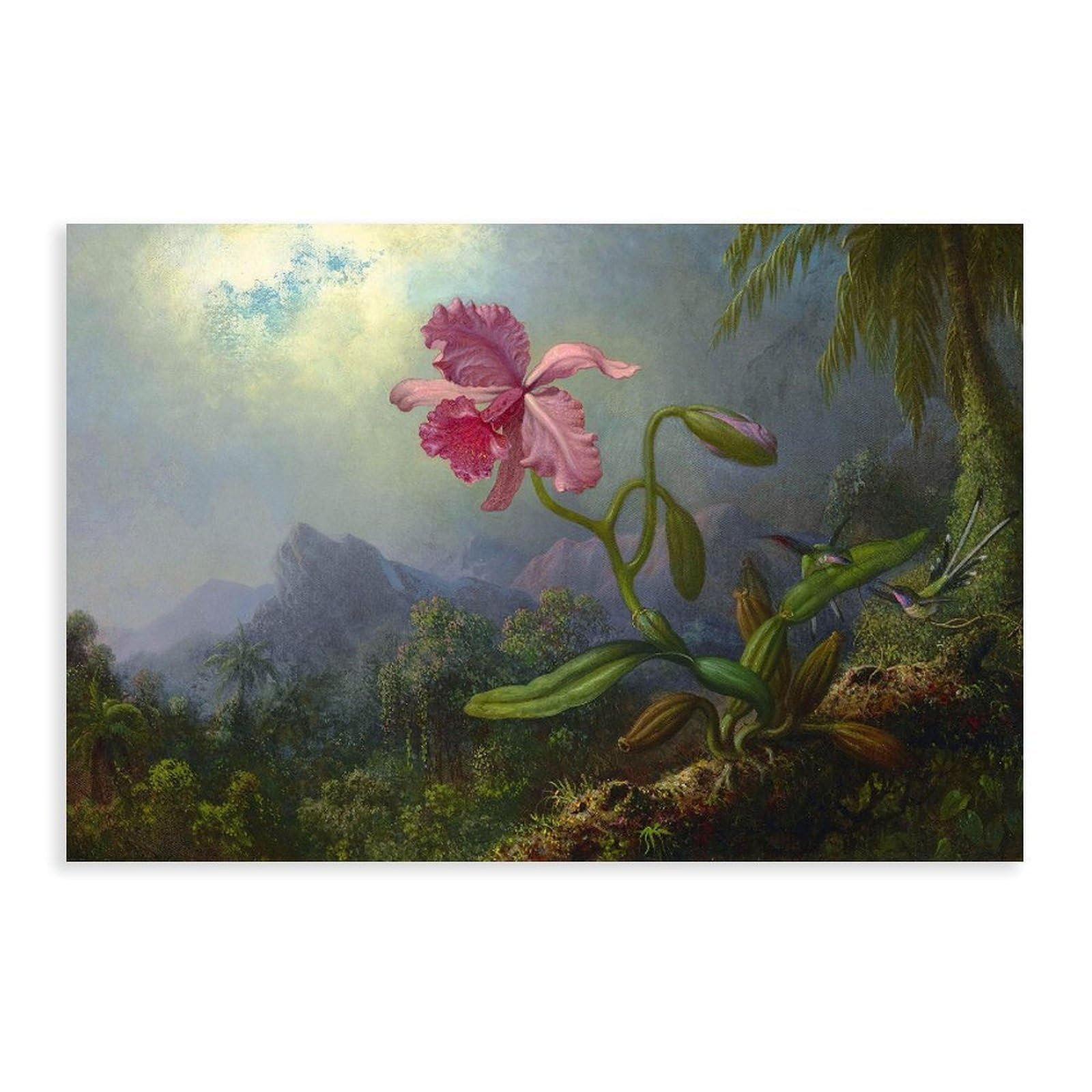 Dfjyjfgjj Martin Johnson Heade,Two Hummingbirds With An Orchid Canvas Wall Art Print Poster For Home School Office Decor 24" L X 36" W