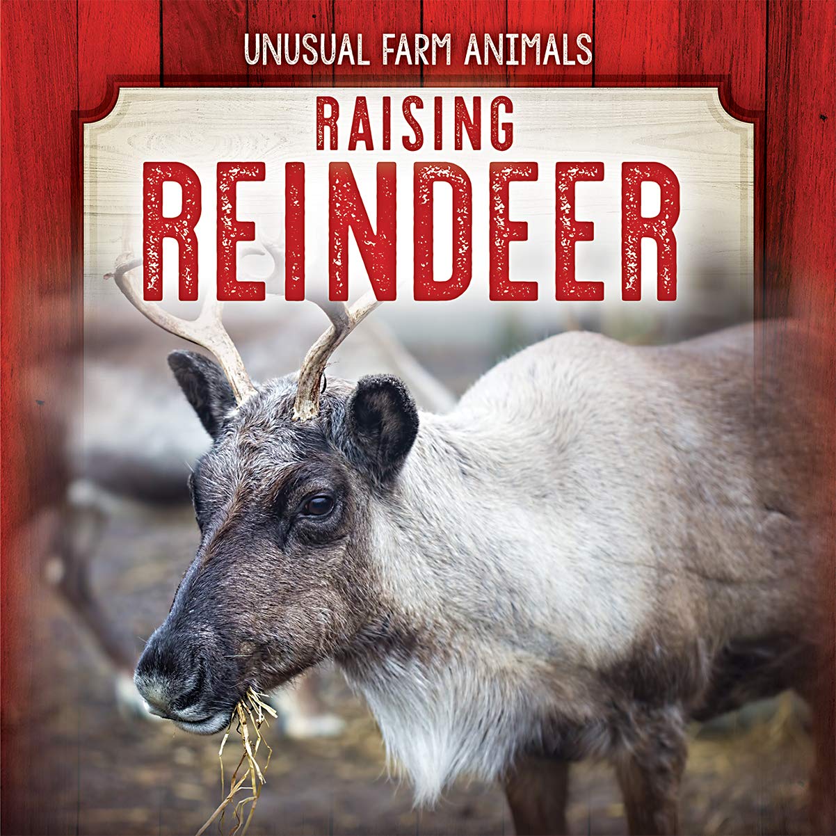 Raising Reindeer (Unusual Farm Animals) Machajewski, Sarah