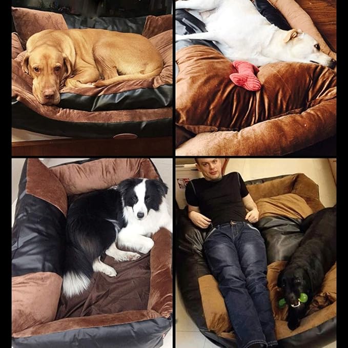 Cama para Perro Grande 90x70x36cm Lavable miniatura 4