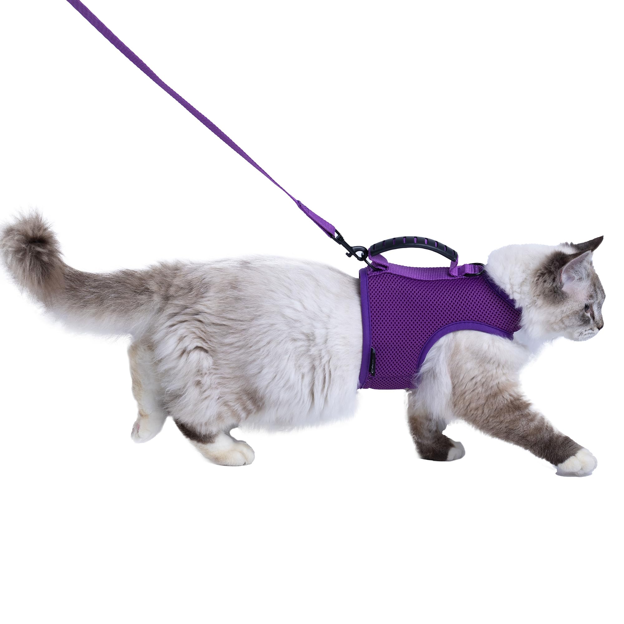 Cat Harness and Leash Set for Walking Escape Proof, Purple, Large