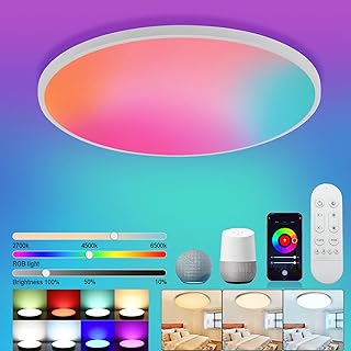 Redare Alexa Smart Ceiling Light