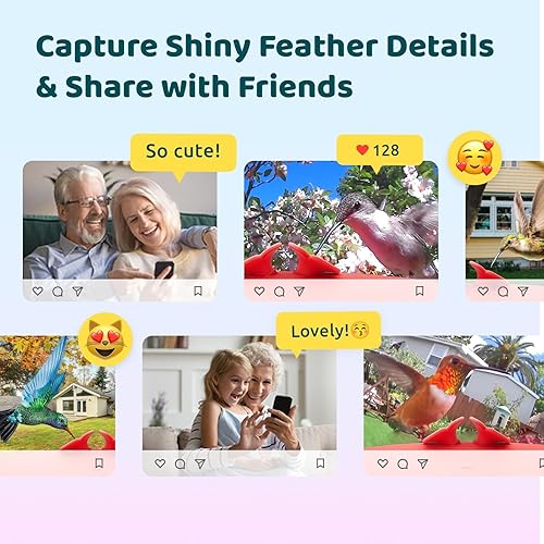 Miniatura 5 de Birdfy Comedero de colibríes con cámara, grabación automática de video de pájaro, notificación instantánea, vista en vivo, comederos inteligentes
