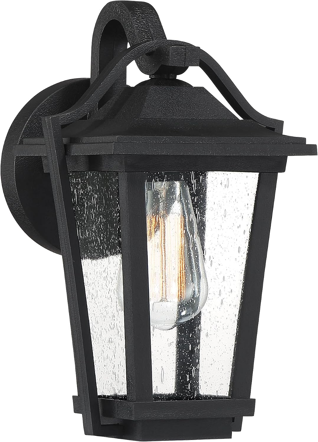 Quoizel Darius Outdoor Wall Lantern, 12 Inch 1-Light Earth Black Vintage Wall Sconce, Decorative Wall Light with Clear Seeded Glass, 100W, Outside Lights for Patio, Porch, Garage or Front Door