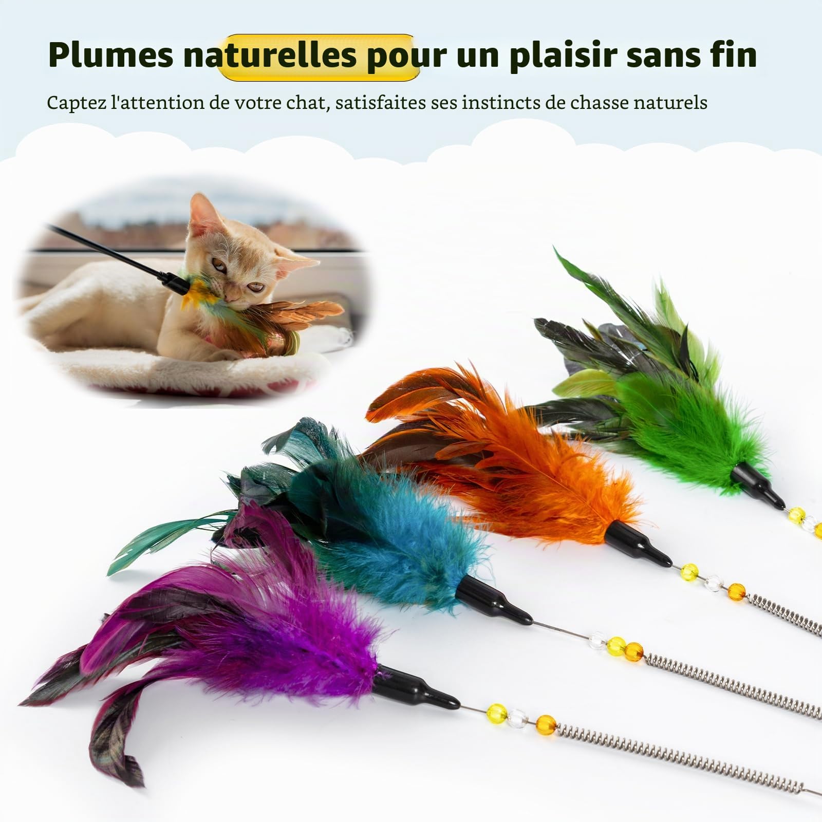 AIDIYA Jouets pour Chat avec Plumes et Baguette pour Chat Jouet en Forme de Plume pour Chat (Lot de 6)