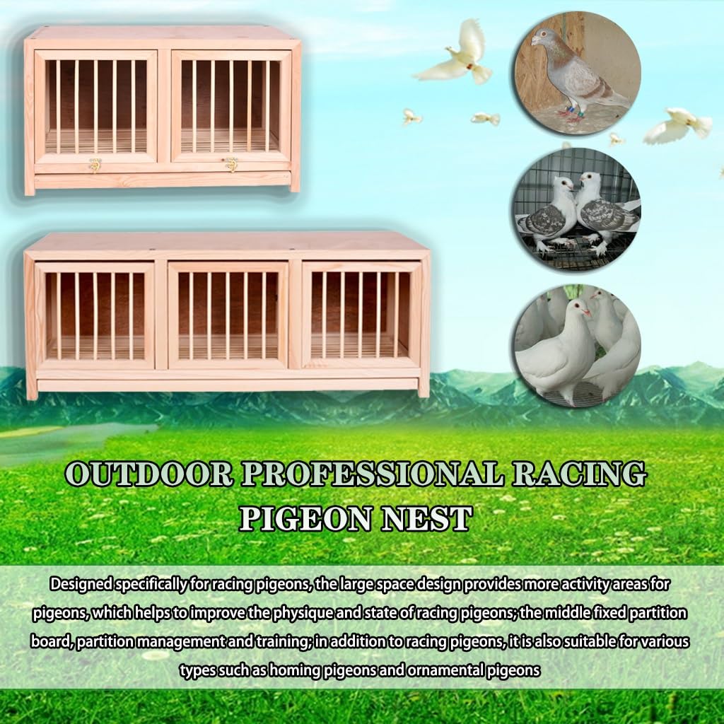 Jaula Profesional para Palomas mensajeras – 2/3 Puertas Opcionales, apilable con Bandeja extraíble para estiércol, fácil Montaje, Nido Exterior (Natural, 3 Unidades, 60x30x35cm)