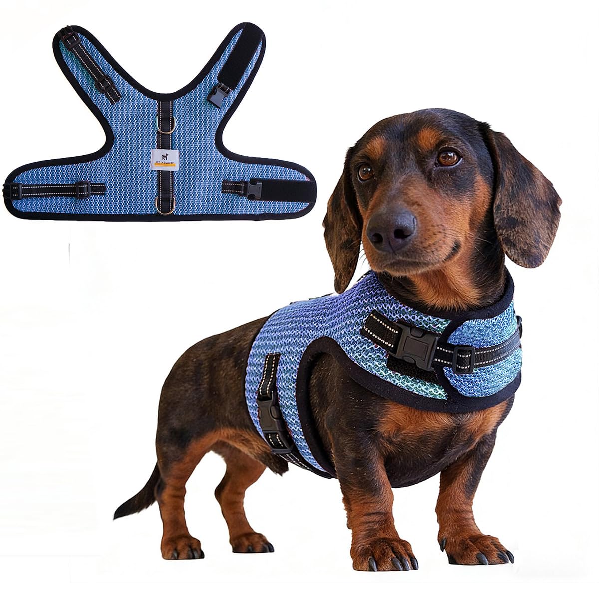 PetInLuxury Mini Dachshund Harness Vest Blue