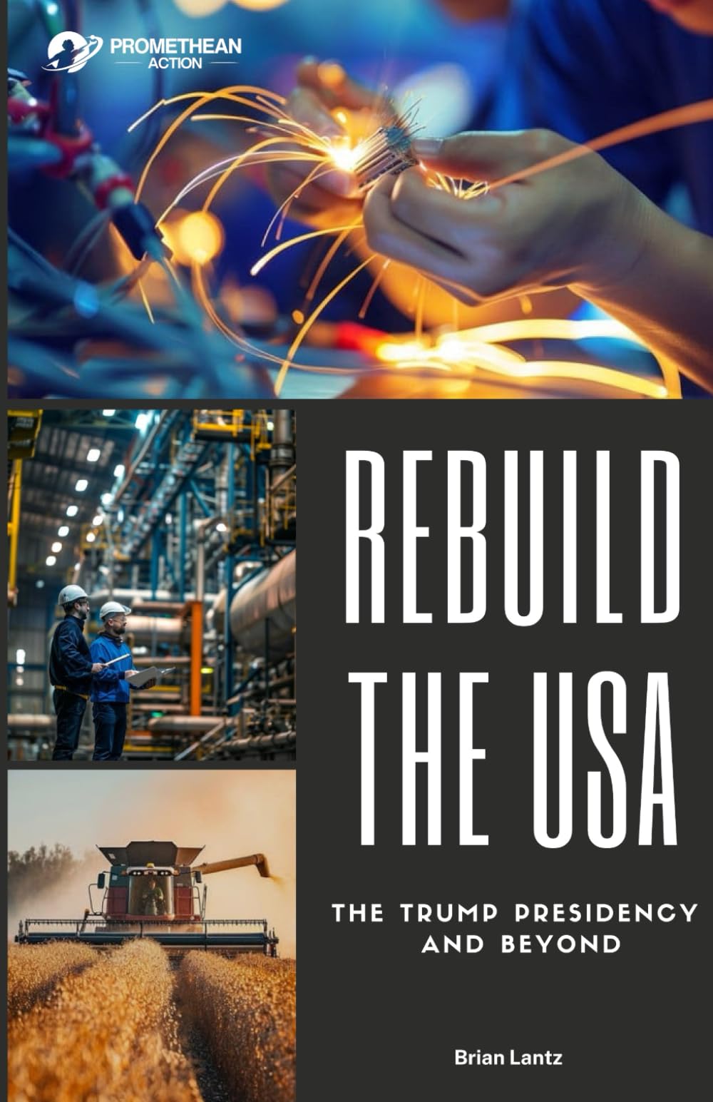Rebuild the USA: The Trump Presidency and Beyond (Promethean Growth)