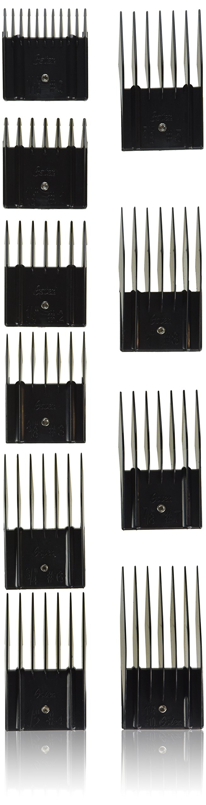 best aquarium in the world