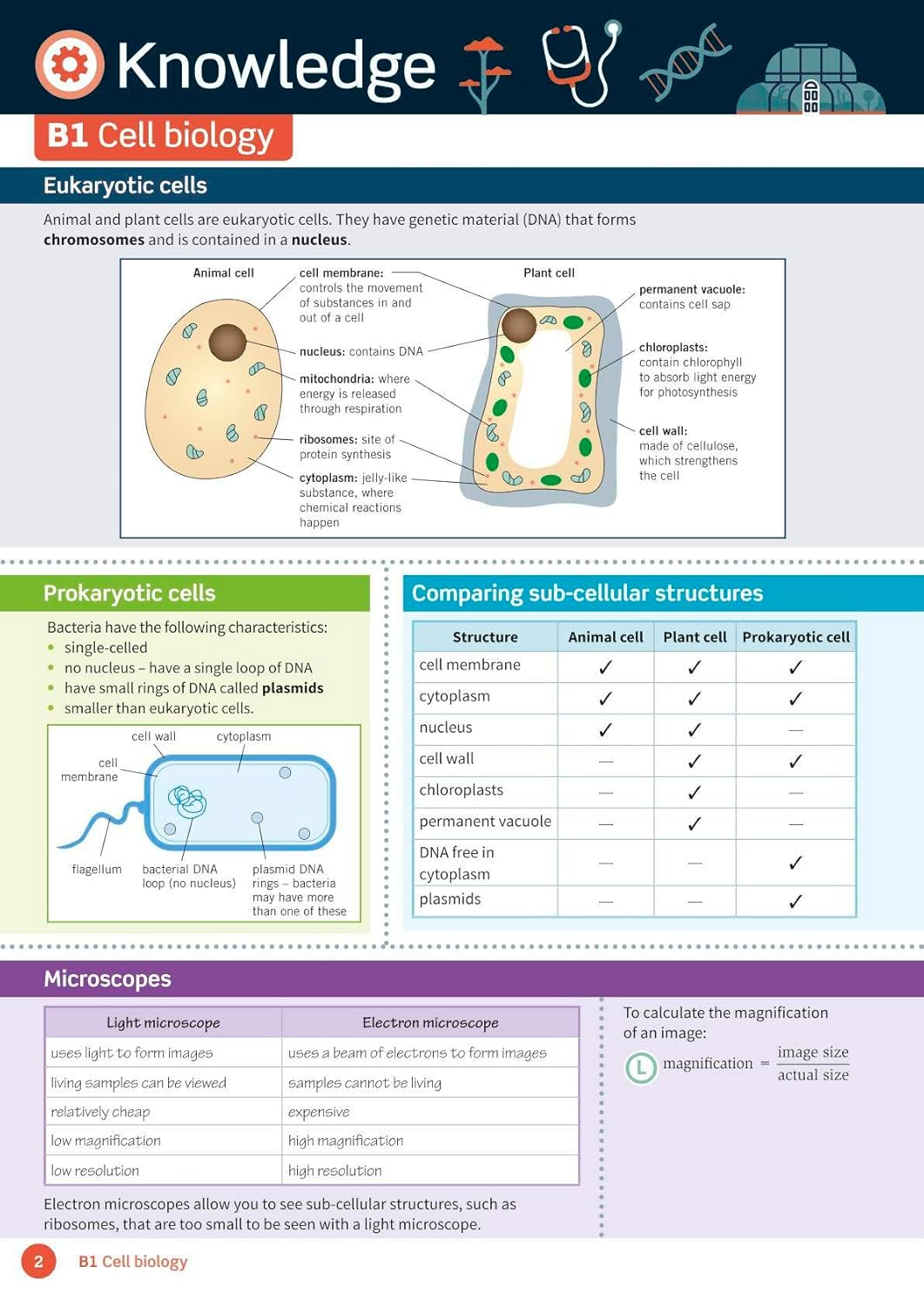 Oxford Revise AQA GCSE Biology Revision and Exam Practice 4* winner Teach Secondary 2021 awards (Oxford Revise Science), Cover May vary 5 71Ct3EkXAqL. SL1500
