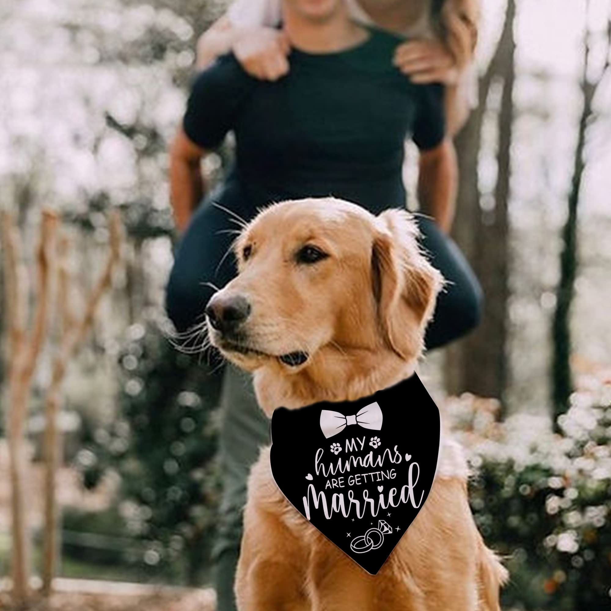 Hundehalstuch My Humans Are Getting Married – Hochzeits-Halsband, Verlobungsankündigung Für Hunde