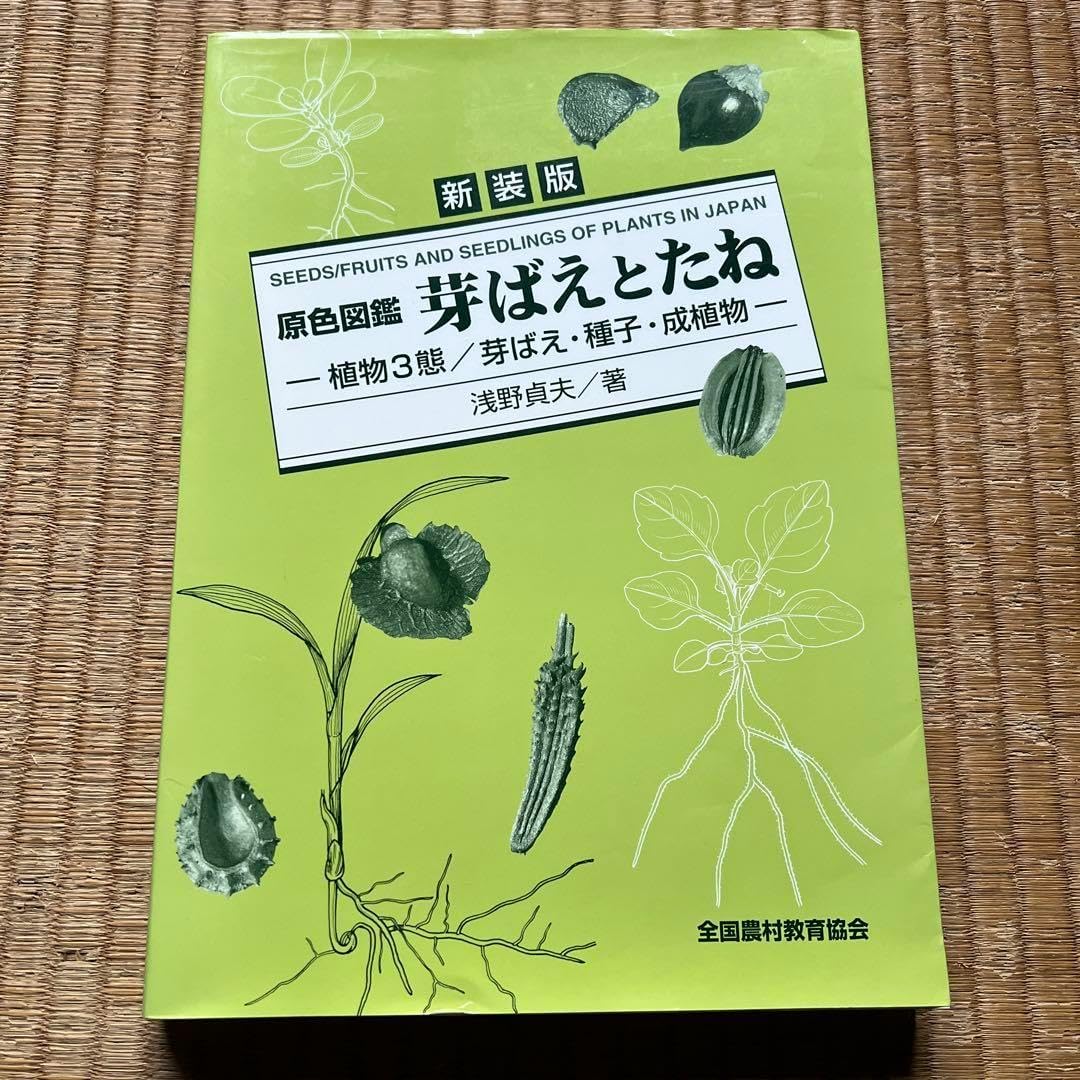 草本植物 芽生えと初期成長図鑑 z10 - メルカリ 草本植物 芽生えと初期