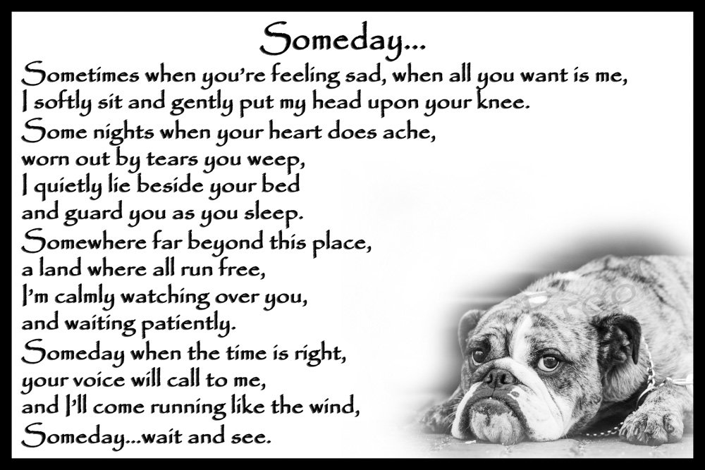 Bulldog pet Dog Memorial Magnetic Sympathy Card Gift - Someday