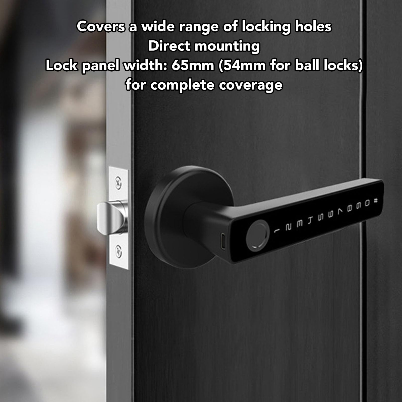 Smart Lock Semiconduttore professionale Impronta digitale intelligente Password Sblocco chiave Blocco ingresso per porta interna 'ufficio 'appartamento 'hotel