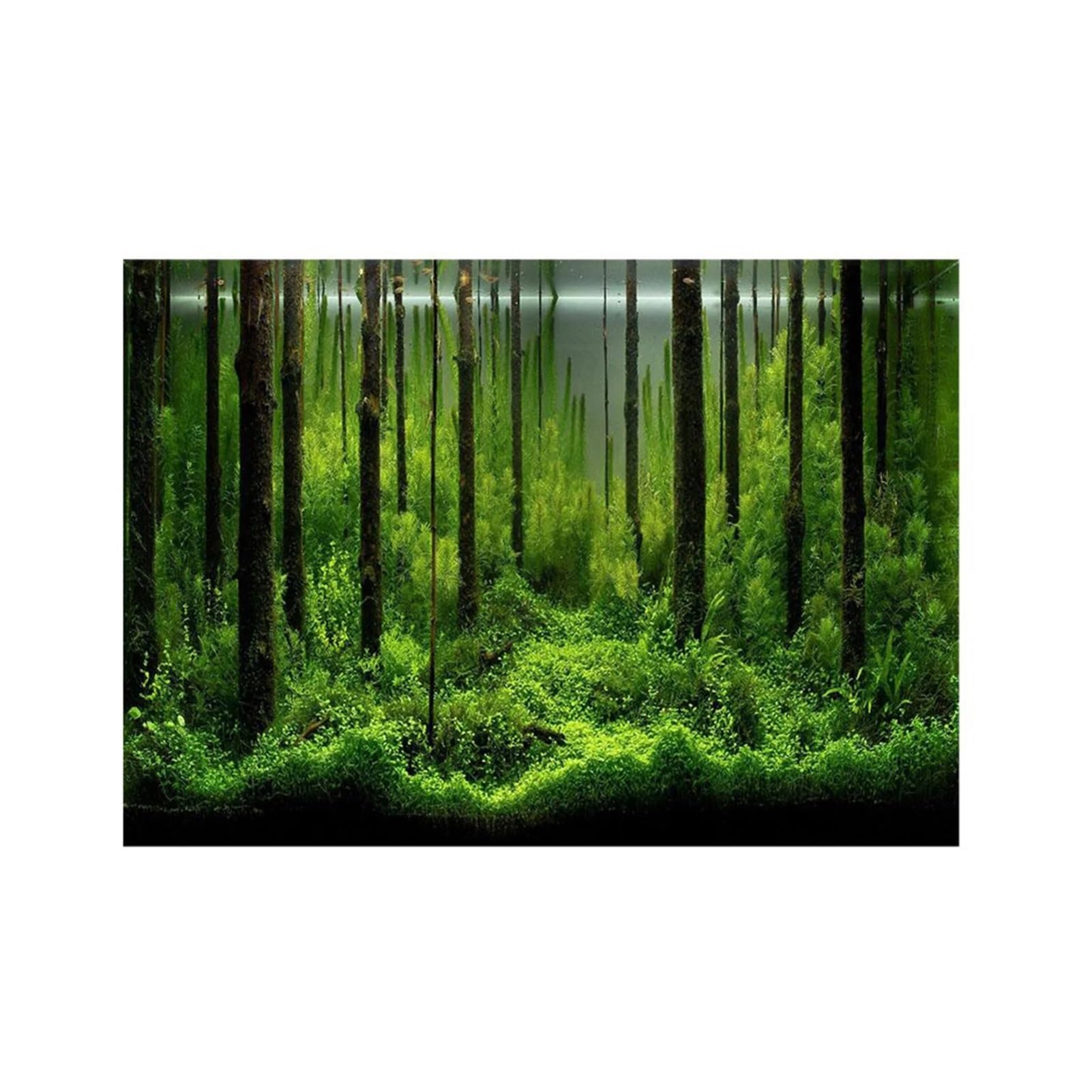 Fond D'Aquarium Affiche de Fond réservoir forêt sous-Marine adhésive en PVC, Papier décoration imperméable(122x46cm)