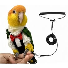 Bird Diapers Bird Harness Tuxedo Flight Suits with 80in Flying Leash Parrot Nappy with Waterproof Inner Layer Urine Wet Suite for Cockatiel Conure Parakeet Macaw Budgie-Black,L