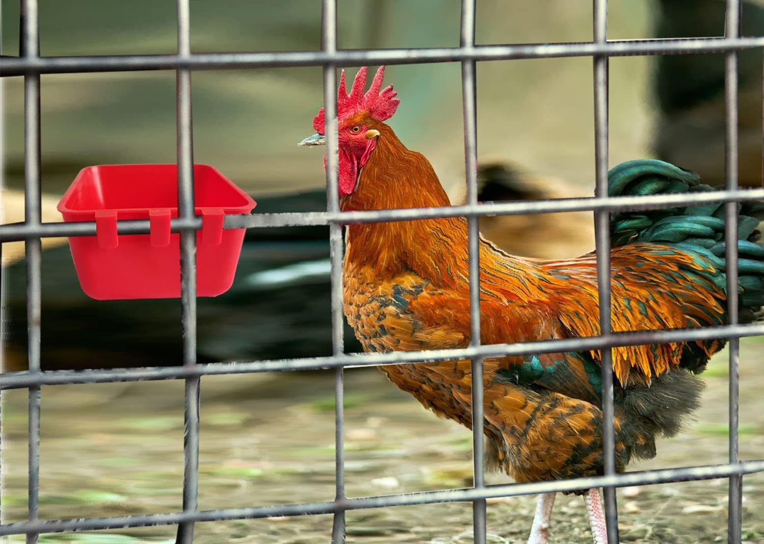 Paquete de 10 bebederos colgantes de 16 onzas para conejo, jaula de agua para pájaros, platos de comida para palomas, cuenco de riego con ganchos, dispensador de golosinas de semillas de
