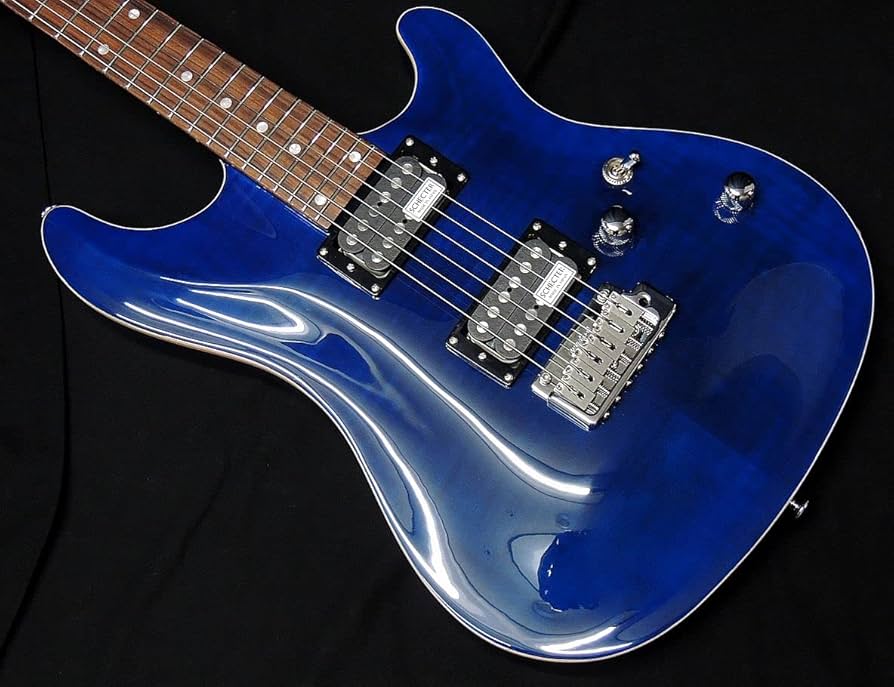 SCHECTER RJ-1-24-VTR シェクター SCHECTER RJ-1-24-VTR | SCHECTER