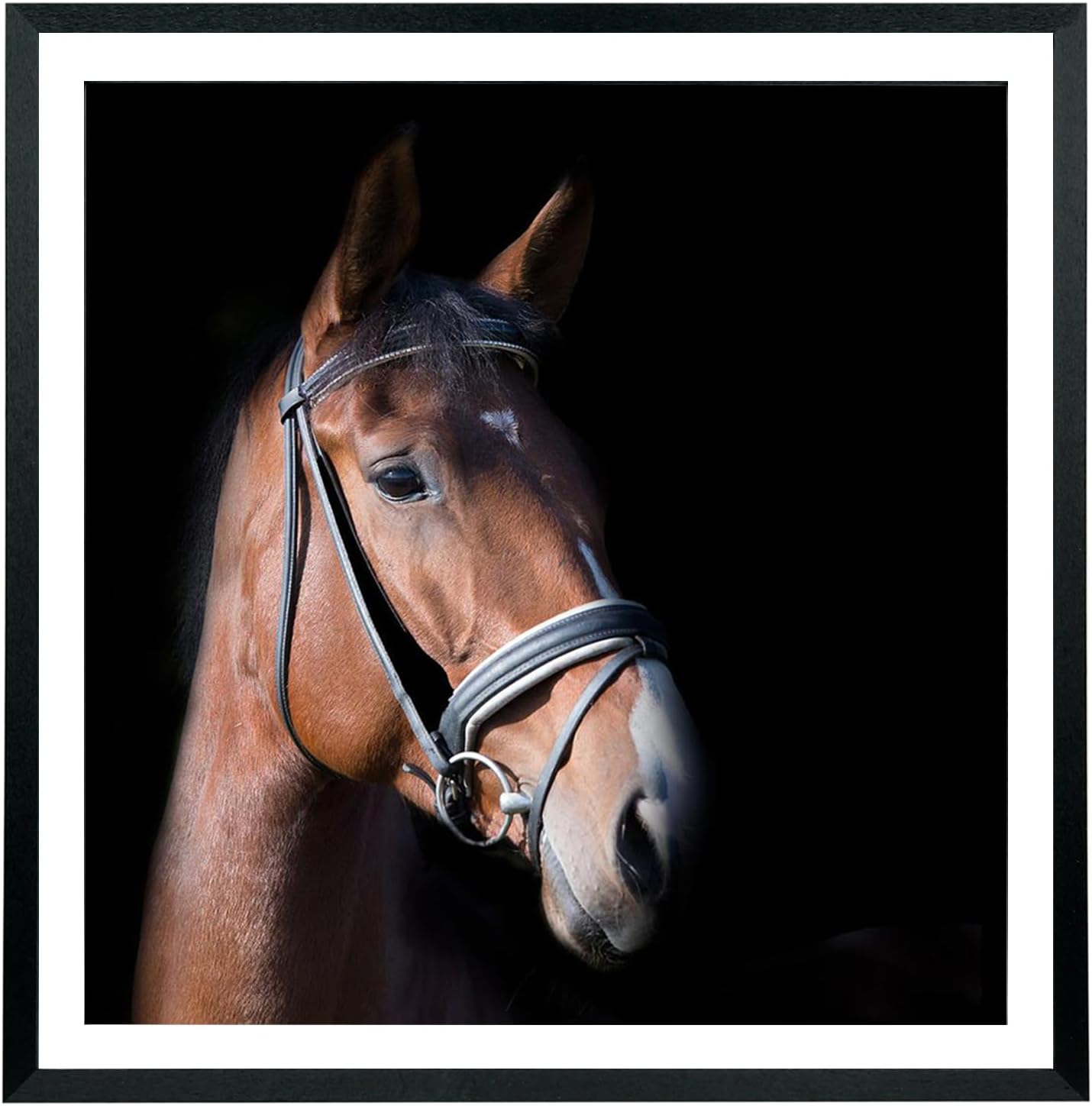 Mxtallup 23x24 Picture Frames Solid wood,Display Pictures 21x22 Inch With Mat or 23x24 Inch Without Mat, Poster Frames 21x22 in Photo Frames Wood Black (T22B2324W2122)