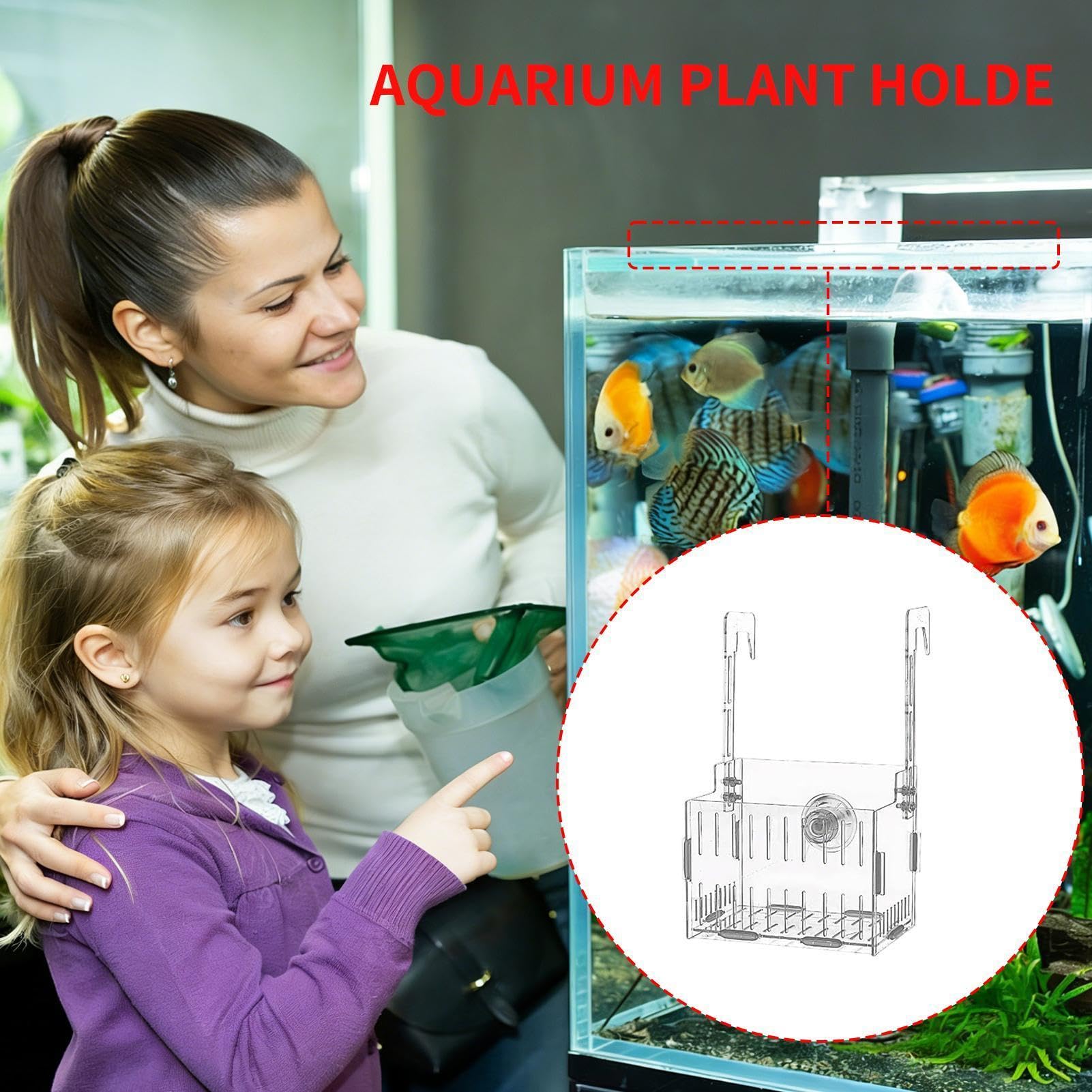 Soporte para plantas de acuario – colgante hidropónico acrílico, macetero de tanque con doble gancho ajustable | Exhibición de plantas flotantes transparentes para decoración de vid de musgo a