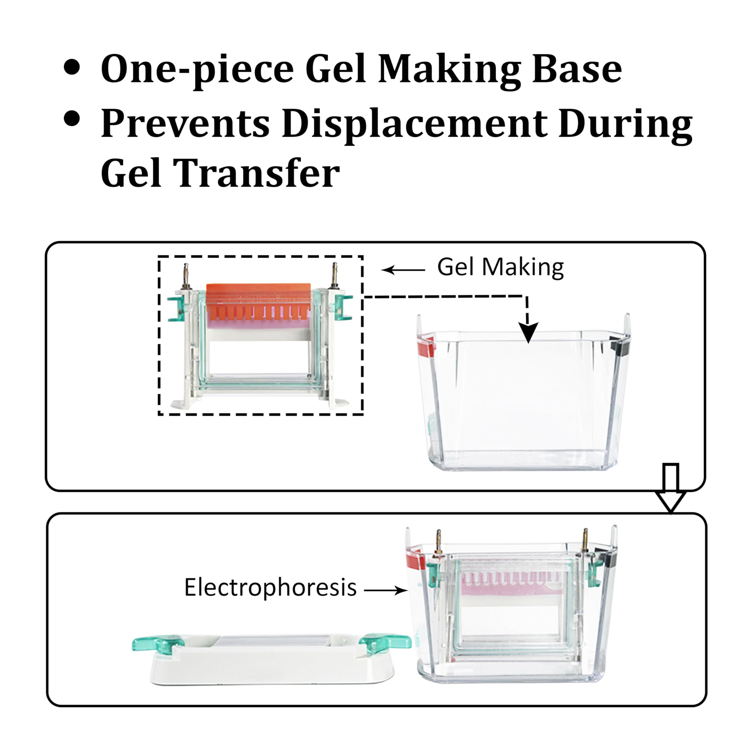 Vision Scientific VS-EL-V1 Vertical Electrophoresis System, Gel Protein Electrophoresis Machine, Vertical Gel Laboratory