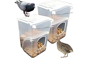 Automatic J Feeders for Quail and Small Birds