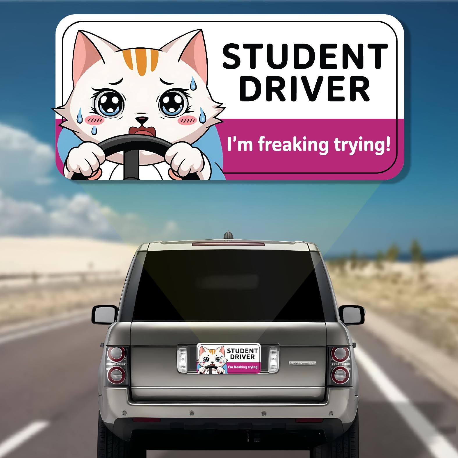 7.6x3.6 I'm Freaking Trying! Funny Kitten Student Driver Magnet – Hilarious Car Accessories for New Drivers, Teens & Beginners – Humorous & Relatable Design