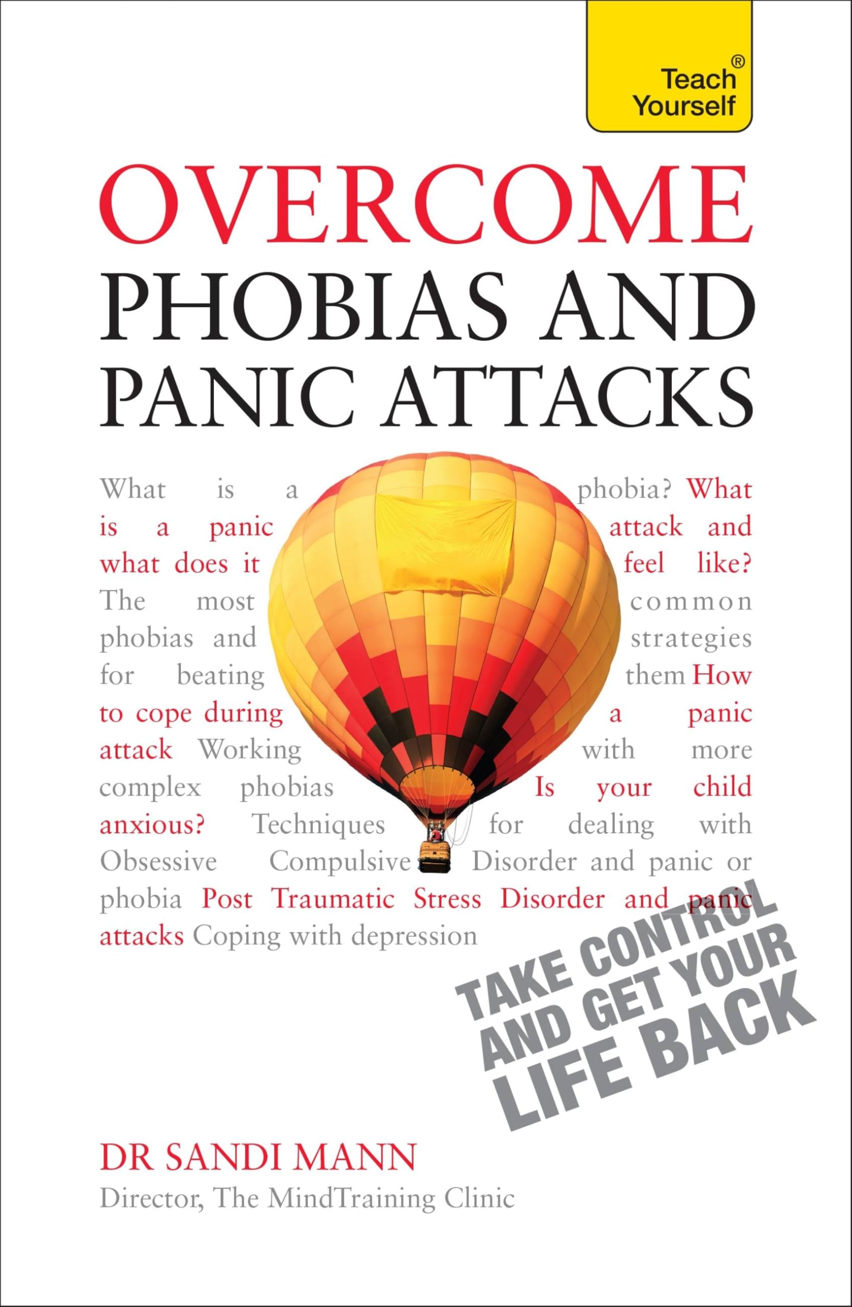 Overcome Phobias and Panic Attacks: Teach Yourself: 1 (Teach Yourself: Health & New Age)