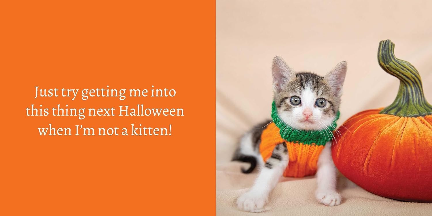 Let Me Knock That Off the Counter for You: And More Everyday Sass from Cats (Fun Gifts for Animal Lovers) - Image 4