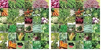 UGAOO Indian Vegetable Seeds Bank For Home Garden 35 Varieties - 1675 Seeds (Pack of 2)