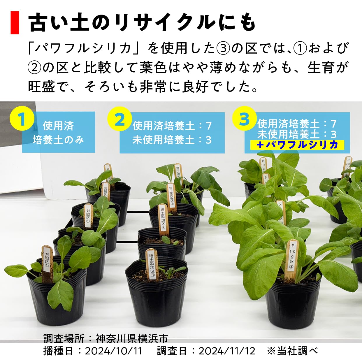 Amazon.co.jp: Sakata's Seed Powerful Silica 1kg [Soil Conditioner